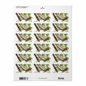 Brown Pelican by John James Audubon ラベル (フルシート)