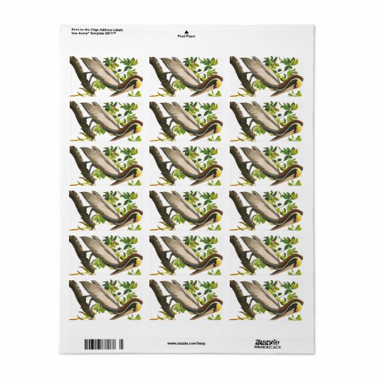 Brown Pelican by John James Audubon ラベル (フルシート)