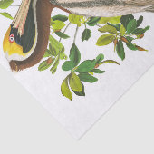 Brown Pelican by John James Audubon 薄葉紙 (詳細)