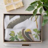 Brown Pelican by John James Audubon 薄葉紙 (ギフト)