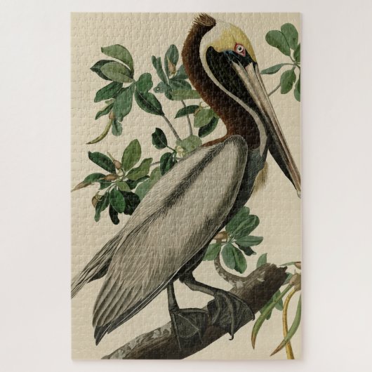 Brown Pelican from Audubon's Birds of America ジグソーパズル (縦)
