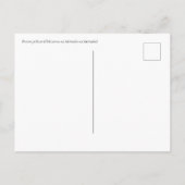 Brown Pelican Martinique Caribbean Wildlife ポストカード (裏面)