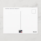 Brown Pelican Outer Banks NC Postcard ポストカード (裏面)