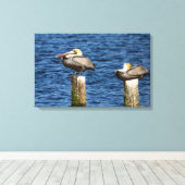 Brown Pelican Pair Roosting on Posts Canvas Print キャンバスプリント (インサイチュ (ウッドフロア))