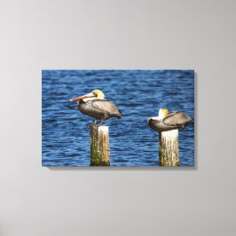 Brown Pelican Pair Roosting on Posts Canvas Print キャンバスプリント