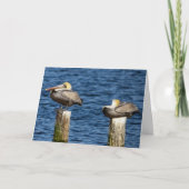 Brown Pelican Pair Roosting on Posts Greeting カード (正面)