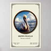 Brown Pelican Zoology Series Poster ポスター (正面)