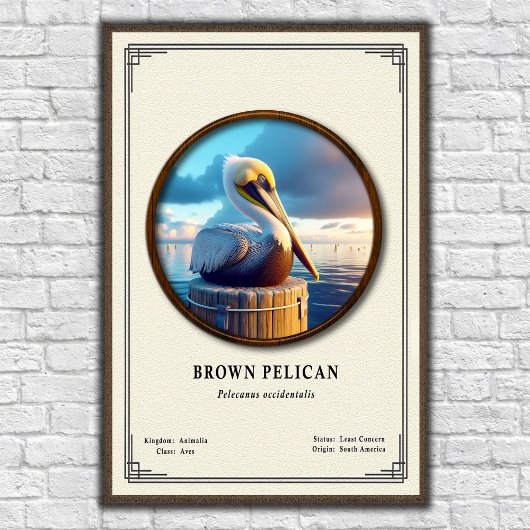 Brown Pelican Zoology Series Poster ポスター