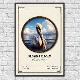 Brown Pelican Zoology Series Poster ポスター