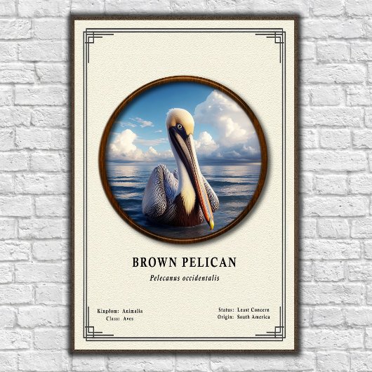 Brown Pelican Zoology Series Poster ポスター