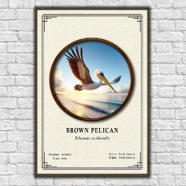Brown Pelican Zoology Series Poster ポスター