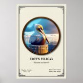 Brown Pelican Zoology Series Poster ポスター (正面)