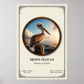 Brown Pelican Zoology Series Poster ポスター (正面)