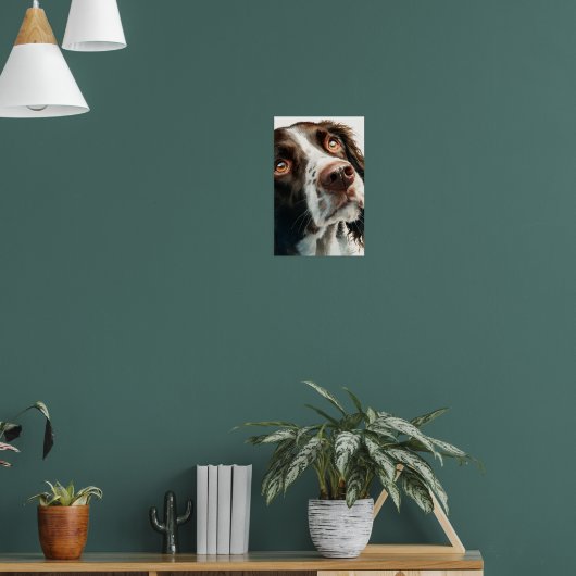 Brown springer spaniel  ポスター (リビング1)