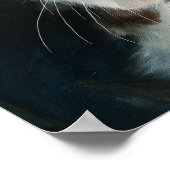 Brown springer spaniel  ポスター (角)