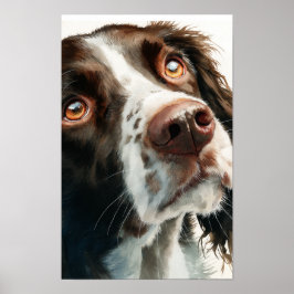 Brown springer spaniel  ポスター