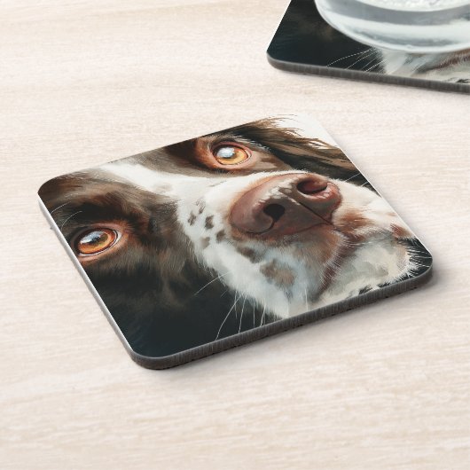Brown springer spaniel portrait コースター (左側)