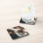 Brown springer spaniel portrait コースター (右側)