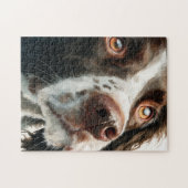 Brown springer spaniel portrait ジグソーパズル (横)