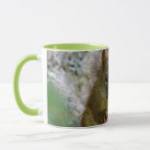 Brown Squirrel in Alberta – Woodland Wildlife マグカップ (左)