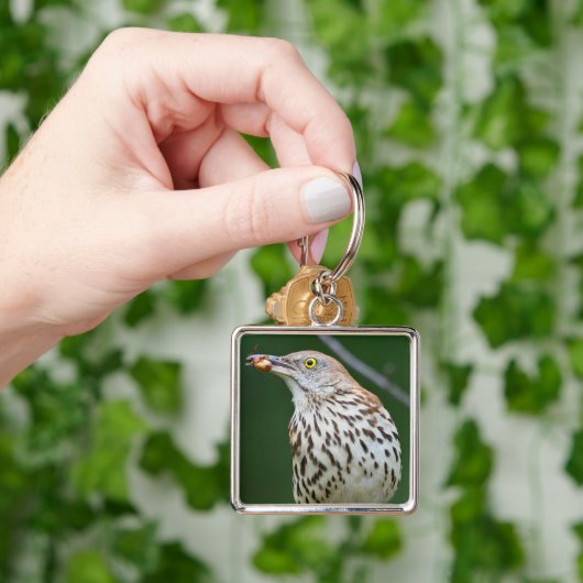 Brown Thrasher w/Catch Of The Day Gift Aparrel キーホルダー (手)