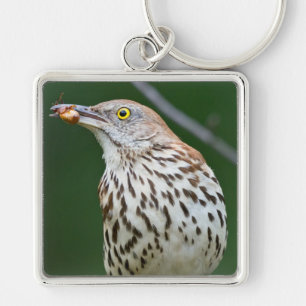 Brown Thrasher w/Catch Of The Day Gift Aparrel キーホルダー