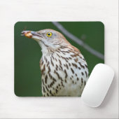 Brown Thrasher w/Catch Of The Day Gift Aparrel マウスパッド (マウス)