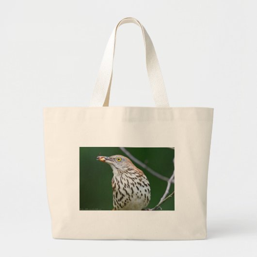 Brown Thrasher w/Catch Of The Day Gift Aparrel ラージトートバッグ (正面)