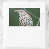 Brown Thrasher w/Catch Of The Day Gift Aparrel 長方形シール (バッグ)