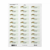 Brown Trout Fly Fishing Graphic Brown Design ラベル (フルシート)