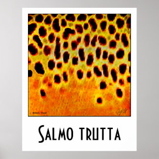 Brown Trout Poster ポスター