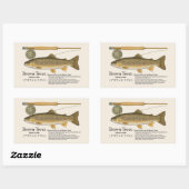 Brown Trout (Salmo trutta) – English Illust 長方形シール (シート)