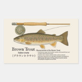 Brown Trout (Salmo trutta) – English Illust 長方形シール (正面)