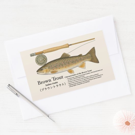 Brown Trout (Salmo trutta) – English Illust 長方形シール (封筒)