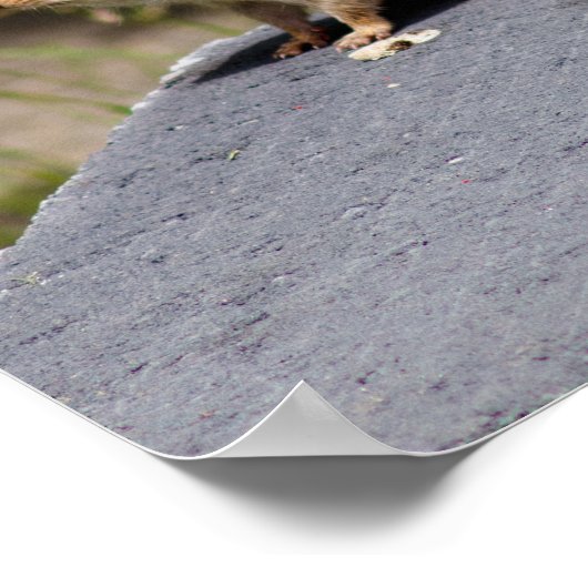 Brownie ポスター (角)