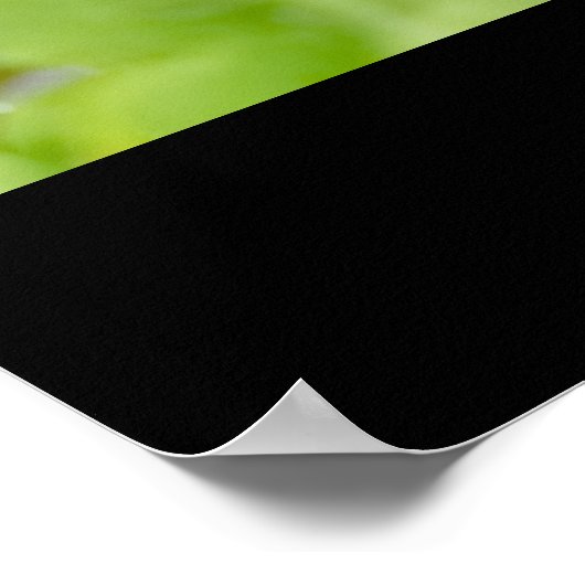 Brownies  ポスター (角)