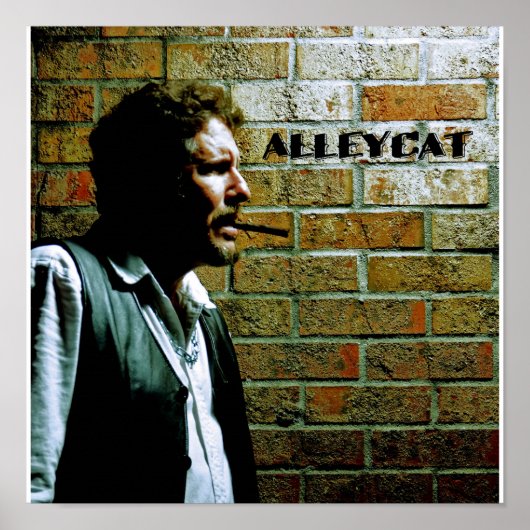 Bruce AlleyCatの自画像 ポスター (正面)