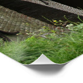 Brug, Dutch village  ポスター (コーナー)