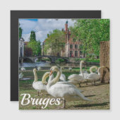 Brugesダウンタウンマグネットに白い白鳥 (正面/裏面)