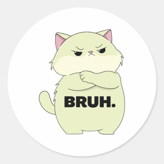 Bruh Kitty Sticker ラウンドシール (正面)