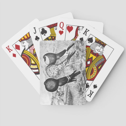 BrunnerのPouterハト トランプ (裏面)