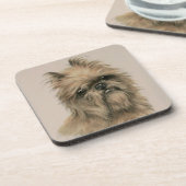 Brussels Griffon コースター (左側)