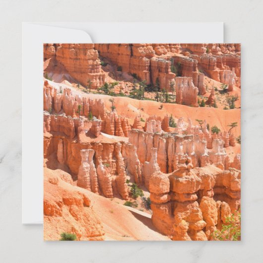 Bryce Canyon Park Utah Landscape Hoodoos Photo カード (正面)