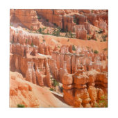 Bryce Canyon Park Utah Landscape Hoodoos Photo タイル (正面)