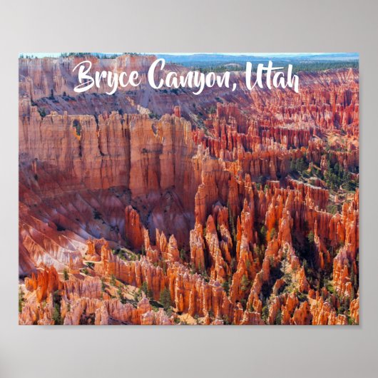 Bryce Canyon Utah Hoodoos ポスター (正面)