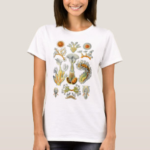 Bryozoa Tシャツ