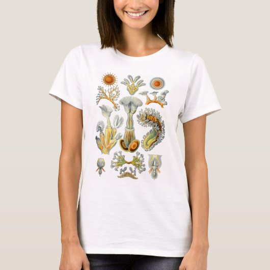Bryozoa Tシャツ (正面)
