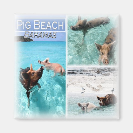 BS0018アメリカ，バハマ，冷蔵庫 マグネット (正面)