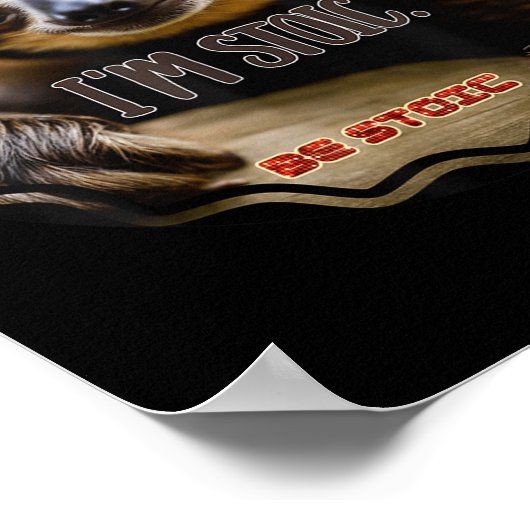 Bs Imストイックスロース ポスター (角)