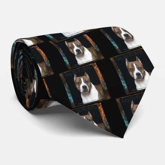 BSLのタイ ネクタイ (ロール)